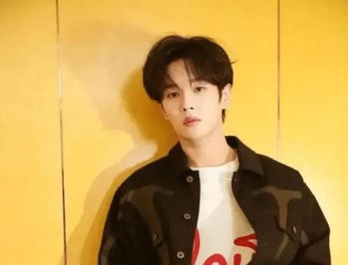 爆料明星事件李汶翰视频,真相与争议交织